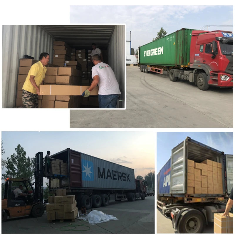 Gym Full Set of Equipment Huck Squat Frame Frame Gantry Backpedal Machine Size Birds Will Be Power Equipment