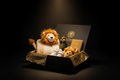 TITAN Kids Royal Gift Set — The Ultimate Little Champion's Bundle 🦁👑
