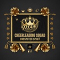 TITAN Crown Edition Cheerleading Spirit Banner