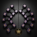 TITAN Dumbbell Set Galaxy Crown Edition flat lay