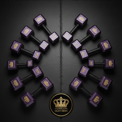 TITAN Dumbbell Set — Galaxy Crown Edition
