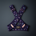 TITAN Women's Posture Corrector Rose Crown Edition