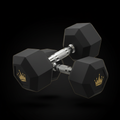 TITAN Hex Dumbbells 50lb Pair Rubber Coated Heavy Dumbbell Set