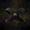 TITAN Posture Corrector - Crown Edition