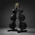 TITAN Crown Edition Weight Plate Tree Storage Rack matte black gold