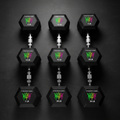 TITAN Dumbbell Set Neon Drip Crown Edition flat lay