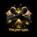 TITAN SPORT GLOBAL baseball compression sleeves with gold crown branding on dark background