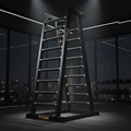 TITAN Crown Edition Vertical Climbing Machine matte black gold
