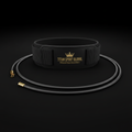TITAN Swim Resistance Belt Crown Edition — matte black with gold crown logo