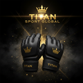 TITAN SPORT GLOBAL pro MMA gloves 4oz hybrid grappling gloves