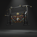 TITAN Crown Edition Doorframe Pull-Up Bar