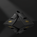 TITAN Crown Swim Fins Short Blade Training Fins