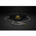 TITAN Dip Belt - Heavy Duty Weightlifting Chain Belt