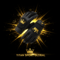 TITAN SPORT GLOBAL youth training gloves junior crown edition