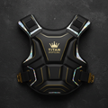 TITAN Crown Edition Cricket Chest Guard Matte Black Gold