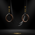 TITAN Gymnastic Rings Crown Edition — birch wood with matte black straps and gold crown logo