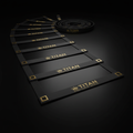 TITAN Agility Ladder Crown Series — matte black with gold crown logo