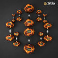 TITAN Dumbbell Set Tiger Flame Crown Edition flat lay