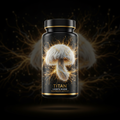 TITAN Lion's Mane Mushroom Extract - 50% Erinacines Brain Booster
