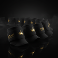 TITAN Ankle Support Crown Series — matte black with gold crown logo