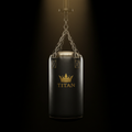 TITAN Pro Heavy Punching Bag 100lb Black & Gold