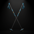 TITAN Off-Grid Nordic Ski Poles — Glacier Crown SWAG
