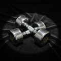 TITAN Chrome Dumbbell Set Diamond Crown Edition mirror polish gold