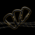 TITAN Carabiner Set Blackout Gold — matte black with gold crown logo