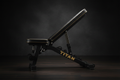 TITAN Crown Edition Adjustable Weight Bench matte black gold