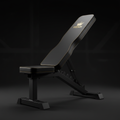 TITAN Adjustable Weight Bench — Matte black steel frame with gold crown logo and foam padding