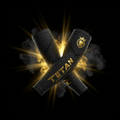 TITAN SPORT GLOBAL basketball arm sleeves with gold crown branding on dark background
