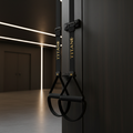 TITAN Crown Edition Suspension Trainer System matte black gold