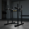 TITAN Crown Edition Freestanding Dip Station matte black gold