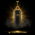 TITAN SPORT GLOBAL pro heavy bag 100lb leather punching bag