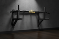 TITAN Crown Edition Wall-Mounted Pull-Up Bar matte black gold