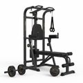 TITAN Core & Ab Home Gym Training System — Crown Edition