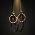 TITAN Pro Wooden Gymnastic Rings Black & Gold