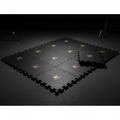 TITAN Rubber Gym Flooring Tiles — Matte black interlocking tiles with gold crown embossed logo