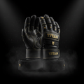 TITAN wrist wrap support lifting gloves