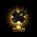 TITAN SPORT GLOBAL pro wrist wraps 18 inch stiff competition grade pair