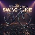 TITAN Crown Edition Triathlon TT Bike SWAG ART