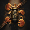 TITAN Phellinus Mushroom — Anti-Aging & Immune Support